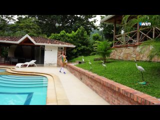 slutty neighbor fucks married man while sunbathing by the pool - sara blonde jump to your favorite action |pornhub|sara blonde